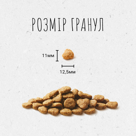 Purina BEYOND з вмістом яловичини і цільнозернового ячменю 350 г. Сухий повнораціонний корм для котів