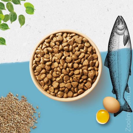 Purina BEYOND з вмістом лосося і цільнозернового ячменю 350г Сухий повнораціонний корм для котів