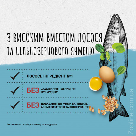 Purina BEYOND з вмістом лосося і цільнозернового ячменю 350г Сухий повнораціонний корм для котів